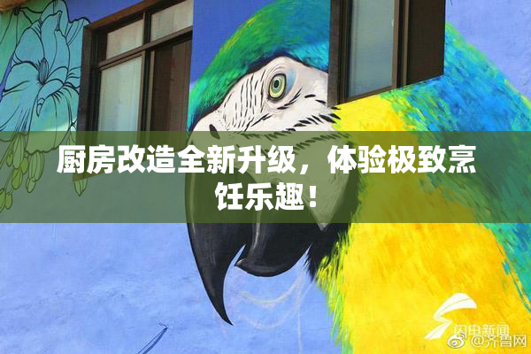 厨房改造全新升级，体验极致烹饪乐趣！