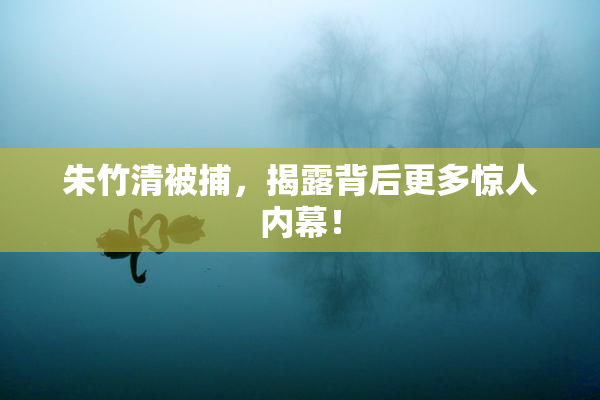 朱竹清被捕，揭露背后更多惊人内幕！
