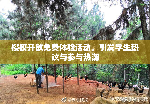 樱校开放免费体验活动，引发学生热议与参与热潮