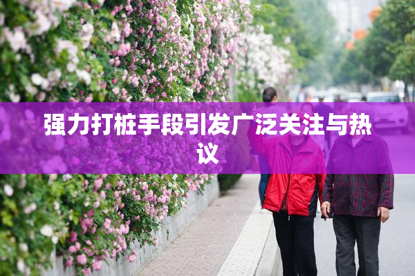 强力打桩手段引发广泛关注与热议