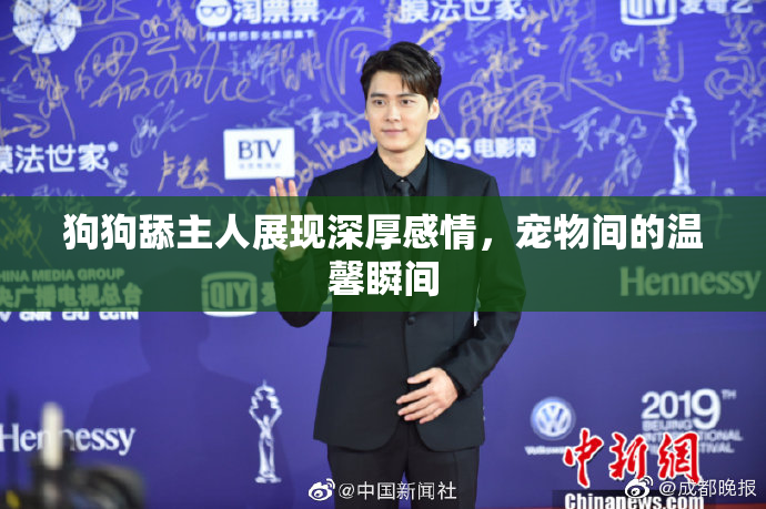 狗狗舔主人展现深厚感情，宠物间的温馨瞬间