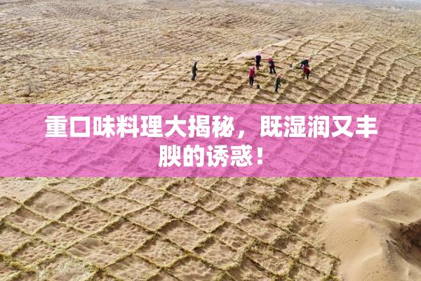 重口味料理大揭秘，既湿润又丰腴的诱惑！