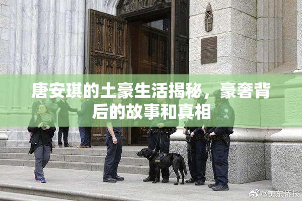 唐安琪的土豪生活揭秘，豪奢背后的故事和真相