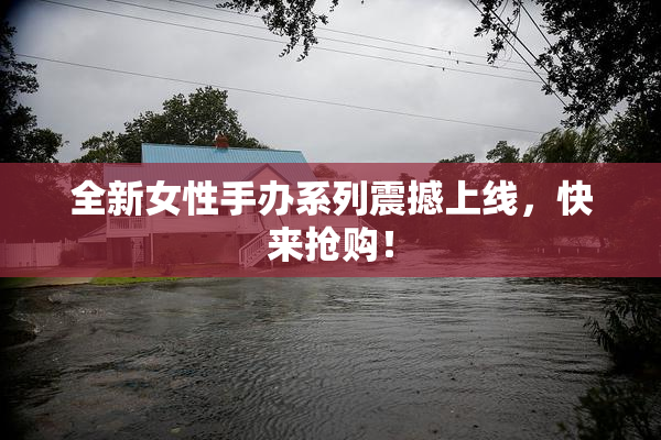 全新女性手办系列震撼上线，快来抢购！