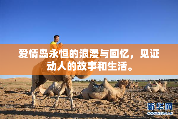 爱情岛永恒的浪漫与回忆，见证动人的故事和生活。