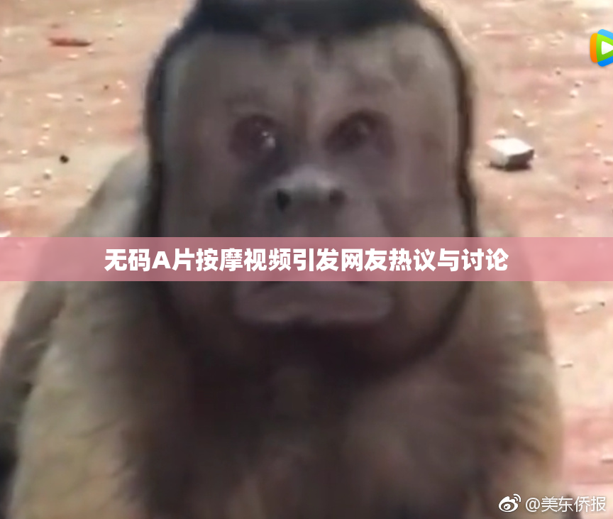 无码A片按摩视频引发网友热议与讨论