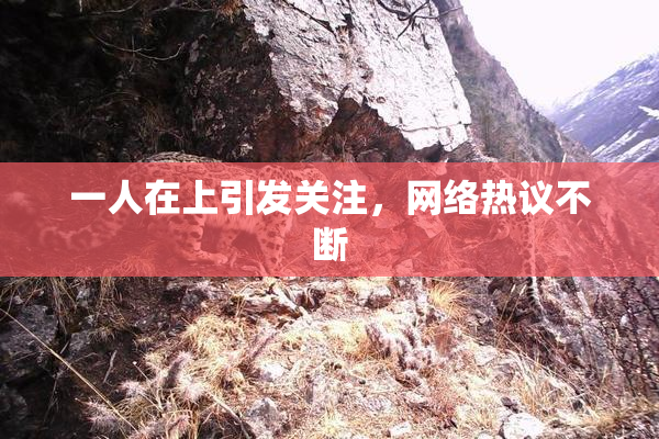 一人在上引发关注，网络热议不断
