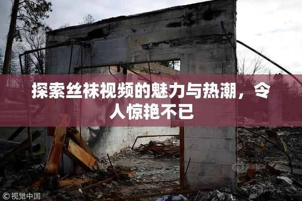 探索丝袜视频的魅力与热潮，令人惊艳不已