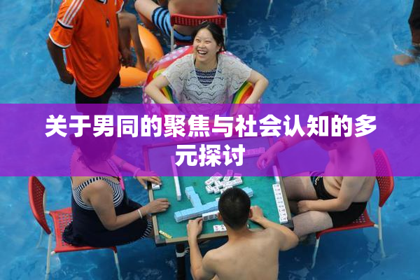 关于男同的聚焦与社会认知的多元探讨