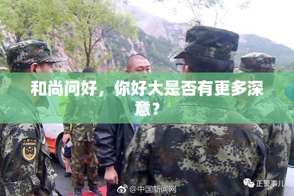 和尚问好，你好大是否有更多深意？