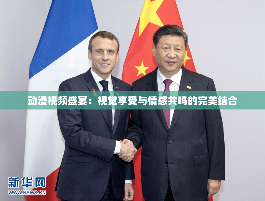 动漫视频盛宴：视觉享受与情感共鸣的完美结合