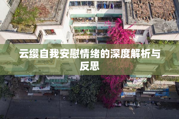 云缨自我安慰情绪的深度解析与反思