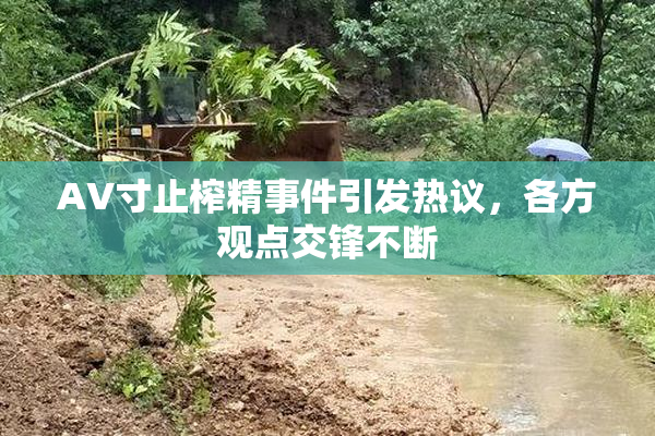AV寸止榨精事件引发热议，各方观点交锋不断