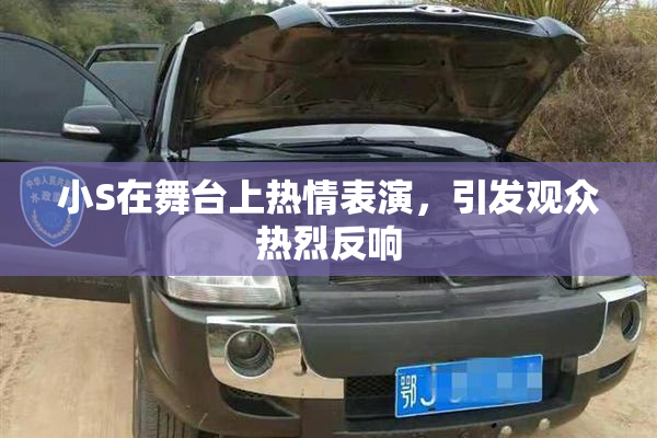 小S在舞台上热情表演，引发观众热烈反响