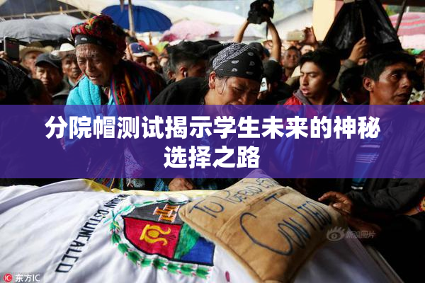 分院帽测试揭示学生未来的神秘选择之路