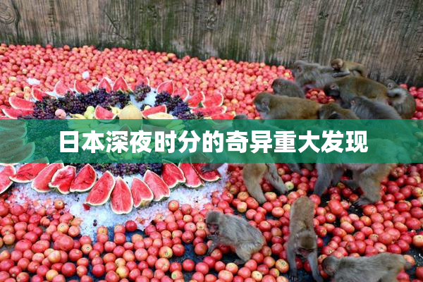 日本深夜时分的奇异重大发现