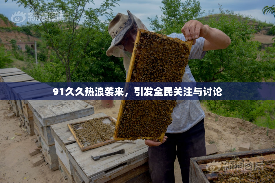 91久久热浪袭来，引发全民关注与讨论