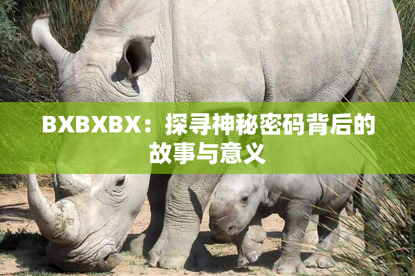 BXBXBX：探寻神秘密码背后的故事与意义