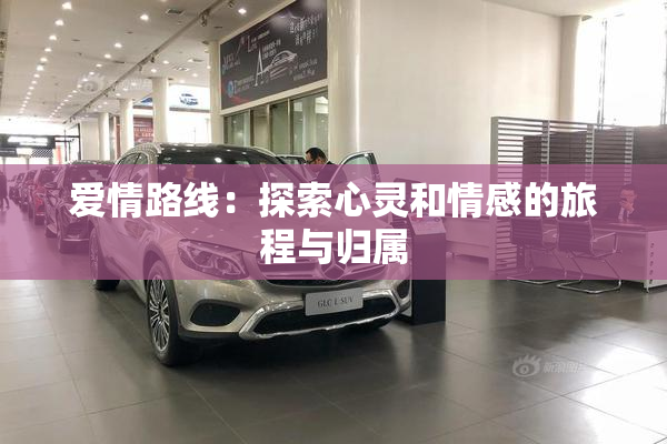 爱情路线：探索心灵和情感的旅程与归属