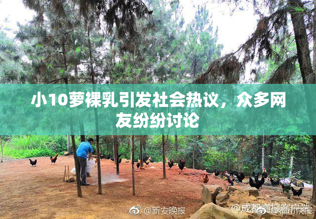 小10萝裸乳引发社会热议，众多网友纷纷讨论