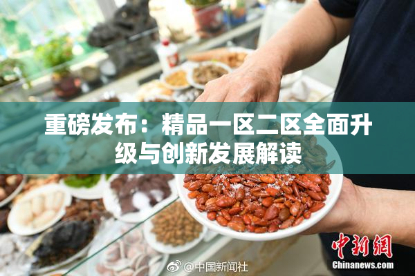 重磅发布：精品一区二区全面升级与创新发展解读