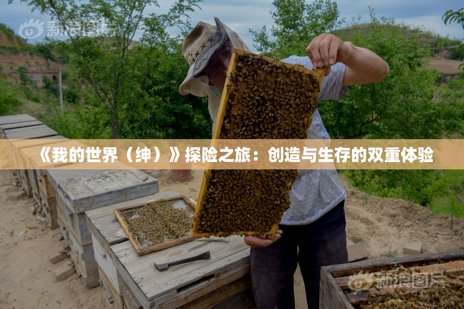 《我的世界（绅）》探险之旅：创造与生存的双重体验