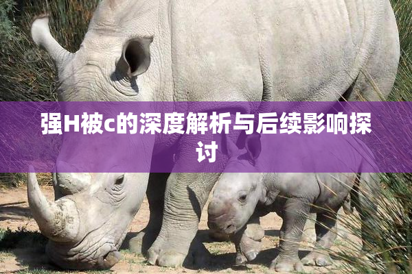 强H被c的深度解析与后续影响探讨