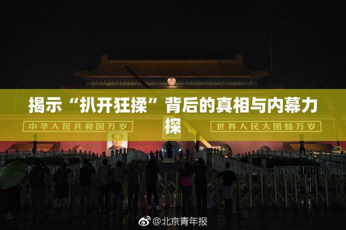 揭示“扒开狂揉”背后的真相与内幕力探