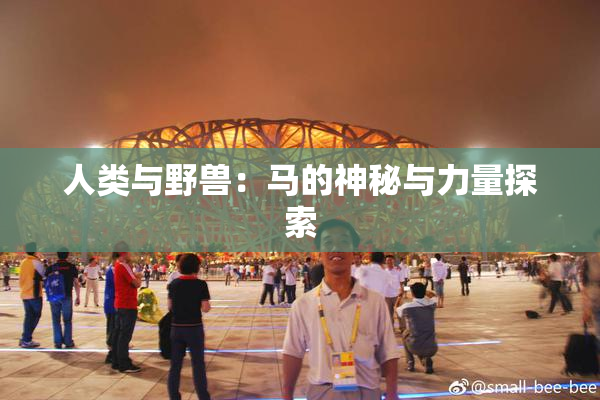 人类与野兽：马的神秘与力量探索