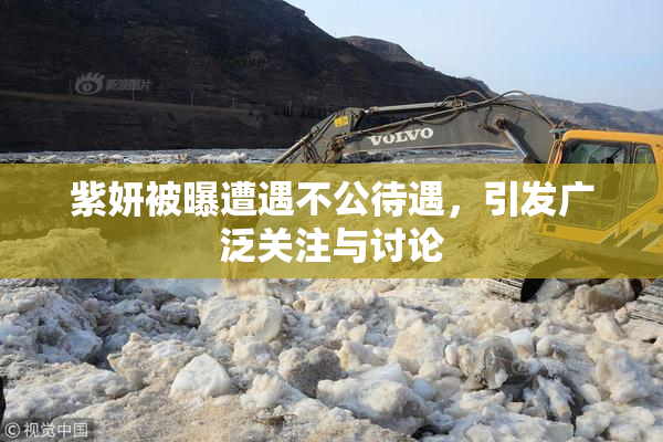 紫妍被曝遭遇不公待遇，引发广泛关注与讨论