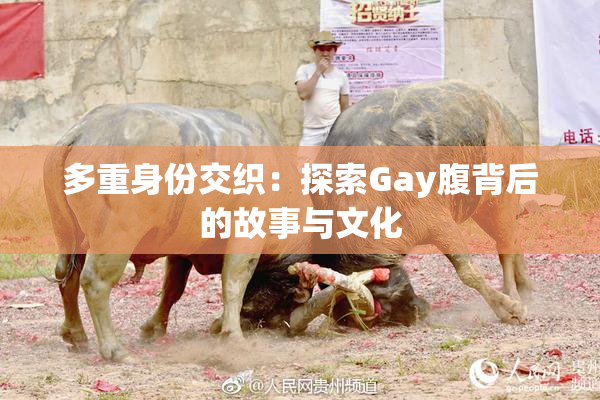 多重身份交织：探索Gay腹背后的故事与文化