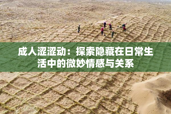 成人涩涩动：探索隐藏在日常生活中的微妙情感与关系