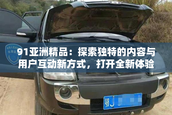 91亚洲精品：探索独特的内容与用户互动新方式，打开全新体验大门