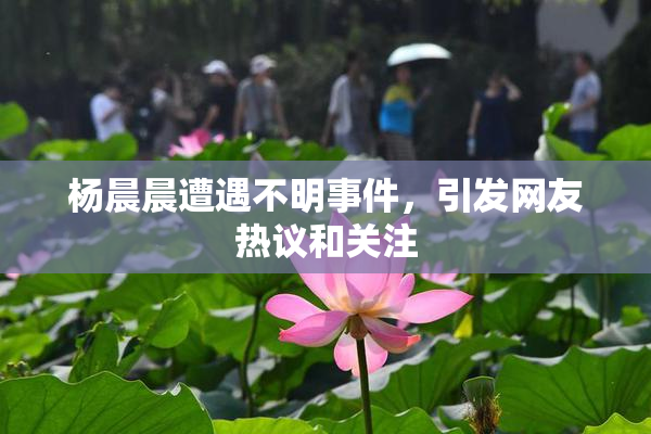 杨晨晨遭遇不明事件，引发网友热议和关注