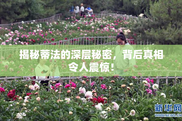 揭秘蒂法的深层秘密，背后真相令人震惊！