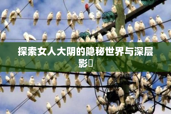 探索女人大阴的隐秘世界与深层影響