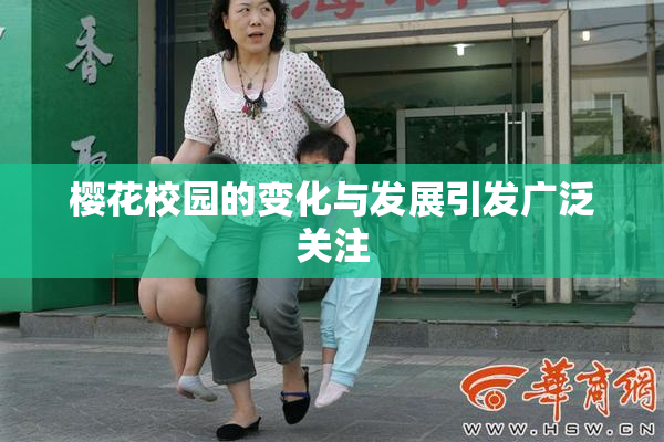 樱花校园的变化与发展引发广泛关注