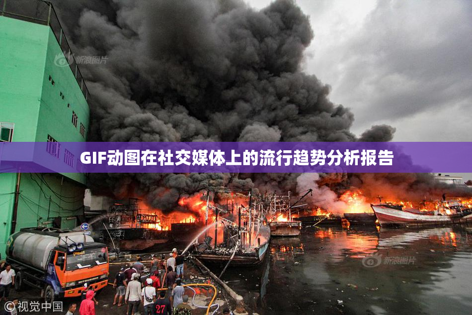 GIF动图在社交媒体上的流行趋势分析报告