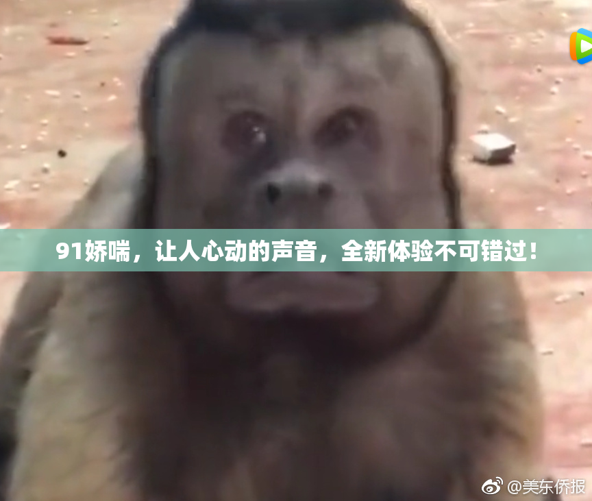 91娇喘，让人心动的声音，全新体验不可错过！