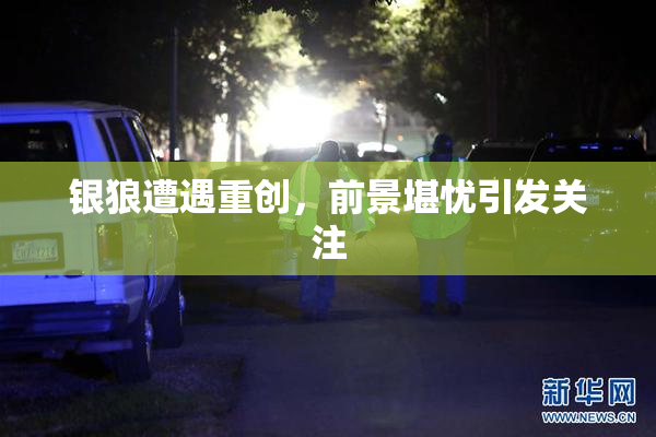 银狼遭遇重创，前景堪忧引发关注