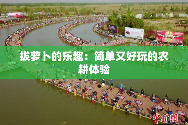 拔萝卜的乐趣：简单又好玩的农耕体验