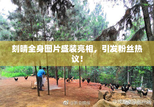 刻晴全身图片盛装亮相，引发粉丝热议！