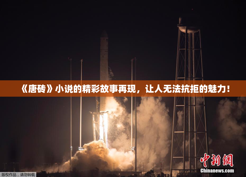 《唐砖》小说的精彩故事再现，让人无法抗拒的魅力！