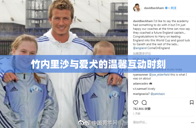 竹内里沙与爱犬的温馨互动时刻