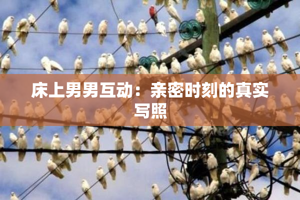床上男男互动：亲密时刻的真实写照