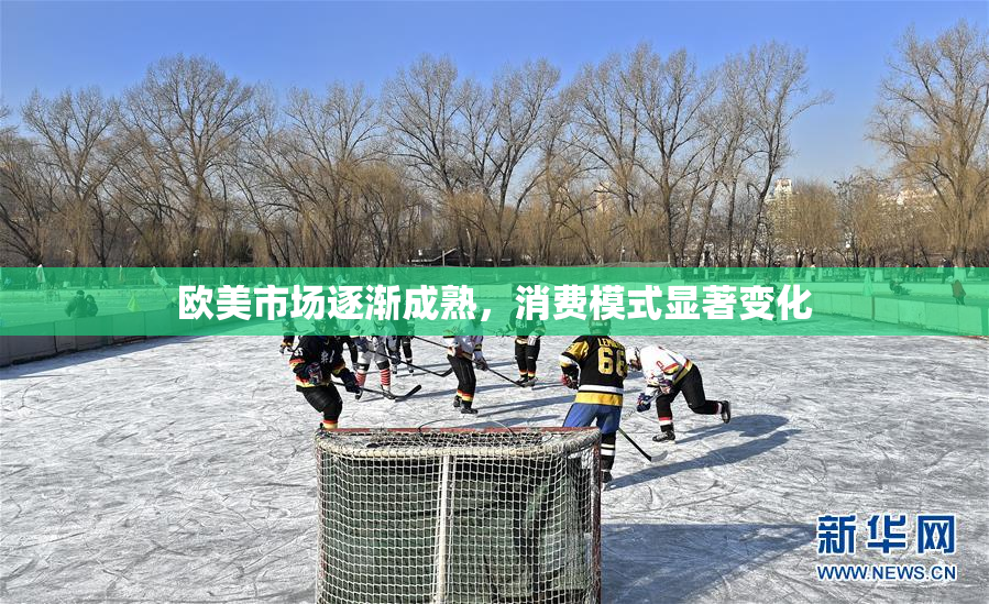 欧美市场逐渐成熟，消费模式显著变化