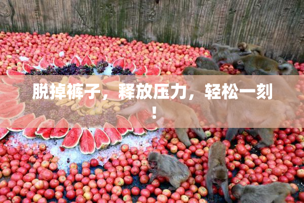 脱掉裤子，释放压力，轻松一刻！