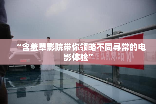 “含羞草影院带你领略不同寻常的电影体验”