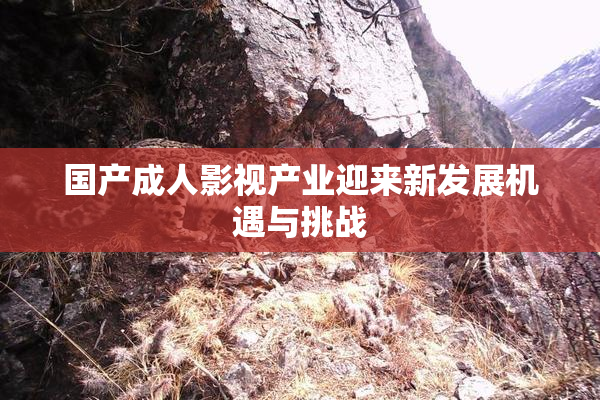 国产成人影视产业迎来新发展机遇与挑战