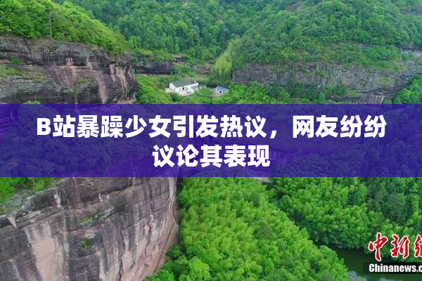 B站暴躁少女引发热议，网友纷纷议论其表现